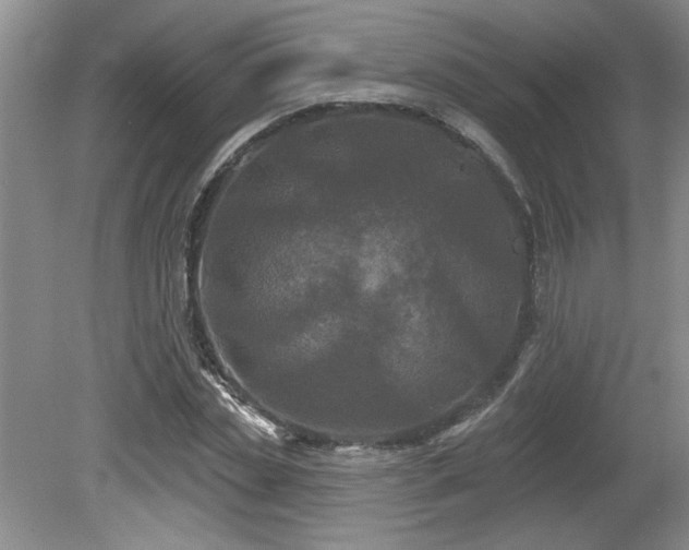 X0000080180829200612081359