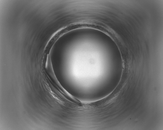 X0000080180830200612081359