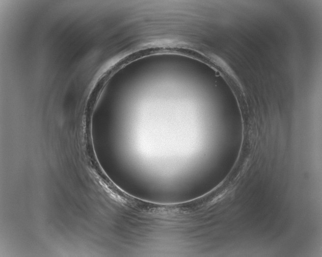 X0000080180831200612081359