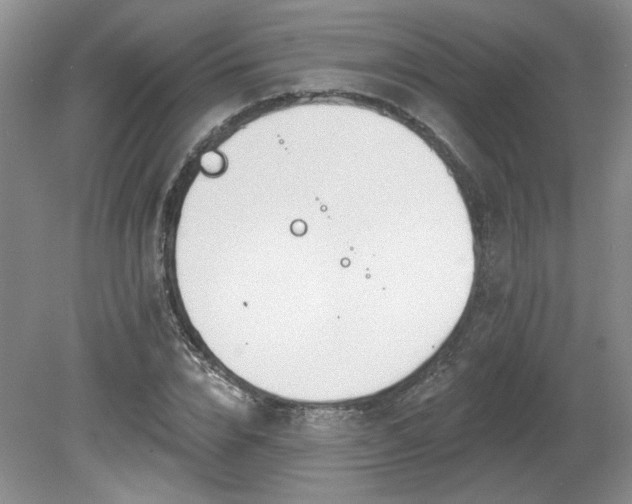 X0000080180832200612081359