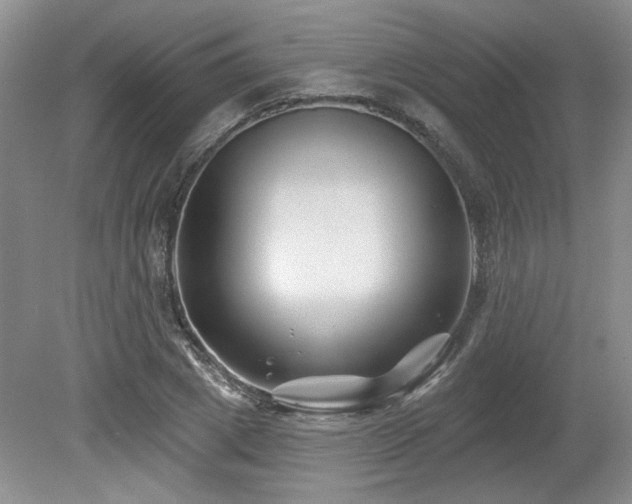 X0000080180833200612081359