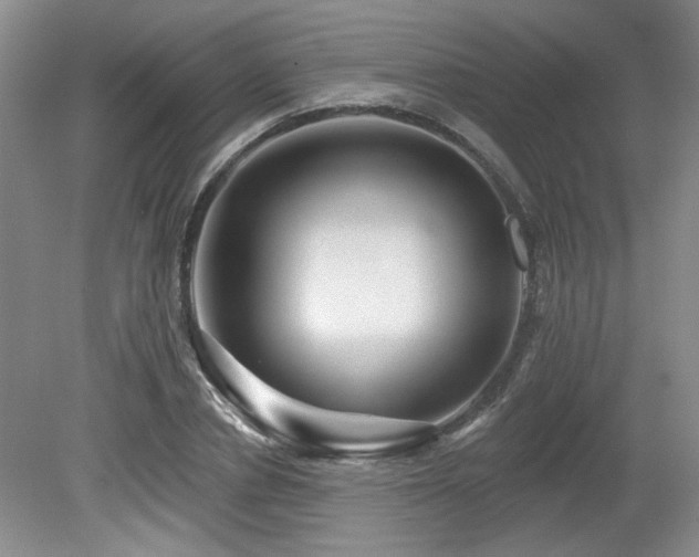 X0000080180834200612081359