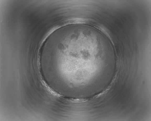 X0000080180835200612081359