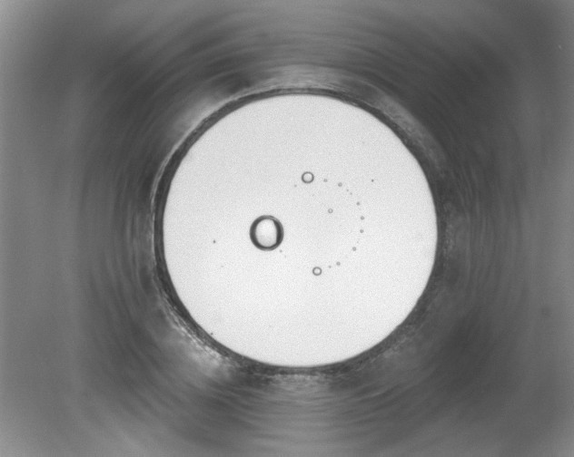 X0000080180836200612081359