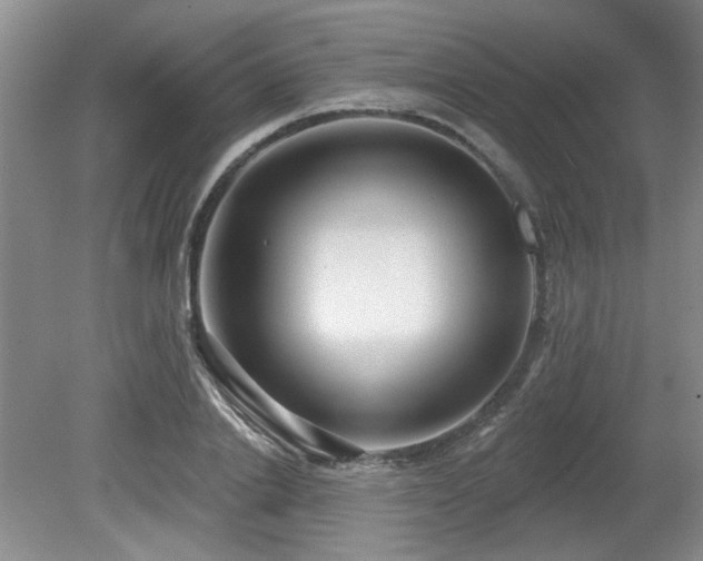 X0000080180838200612081359