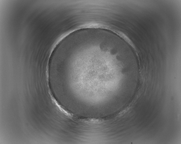 X0000080180839200612081359