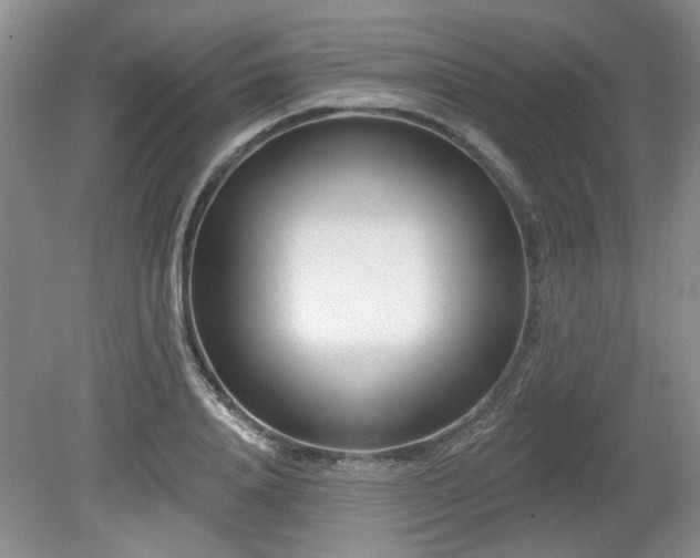 X0000080180840200612081359