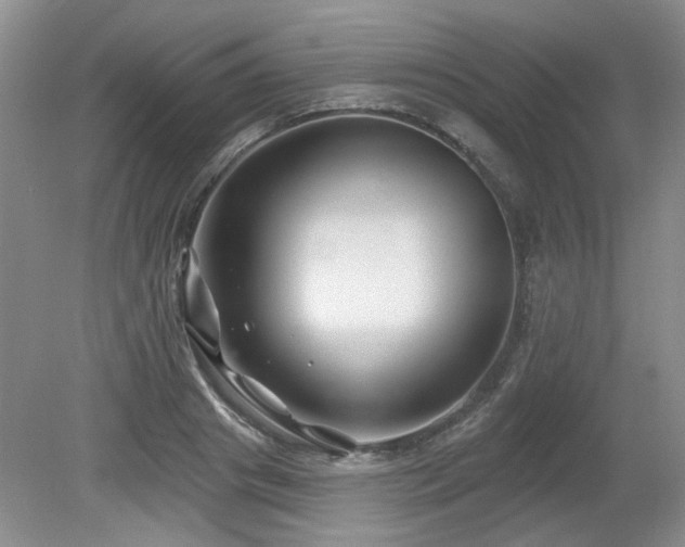 X0000080180841200612081359