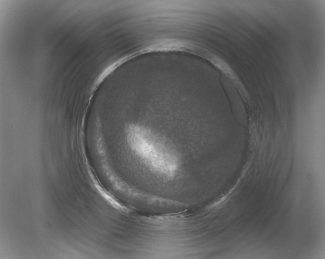 X0000080180842200612081359