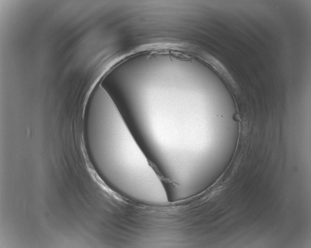 X0000080180844200612081359