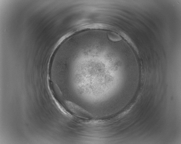 X0000080180845200612081359