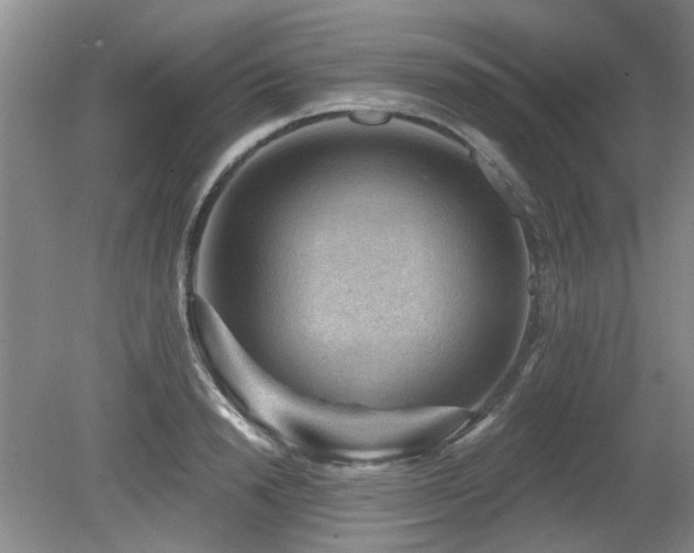 X0000080180846200612081359