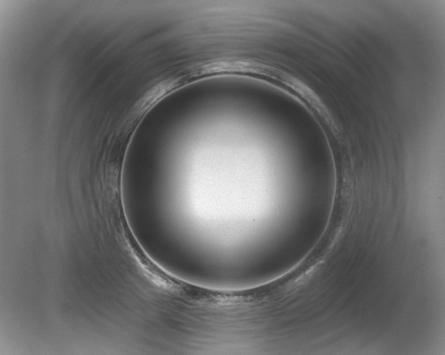 X0000080180849200612081359