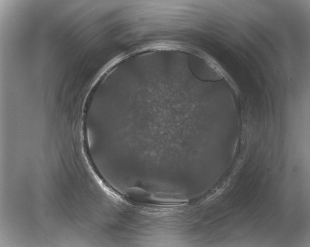 X0000080180853200612081359