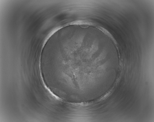 X0000080180855200612081359