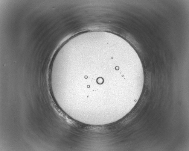 X0000080180856200612081359