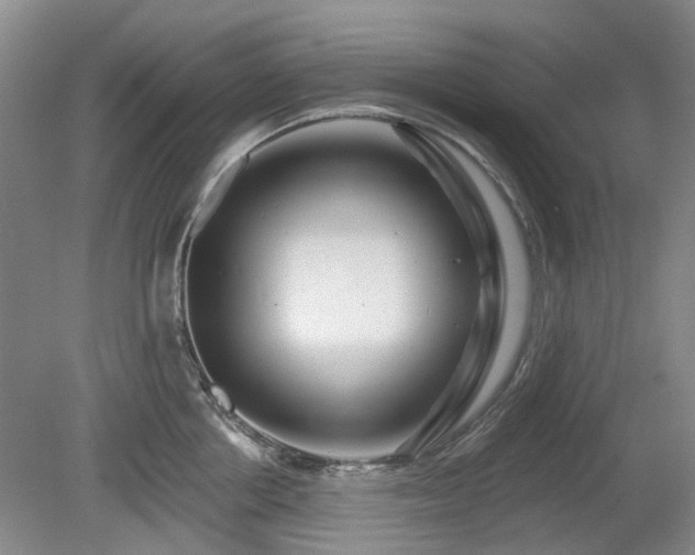 X0000080180858200612081359