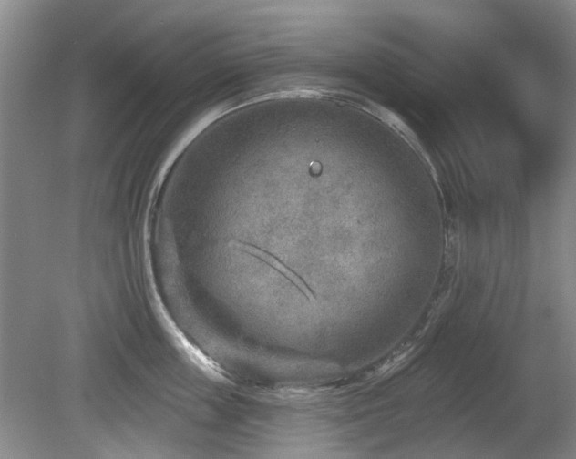 X0000080180859200612081359