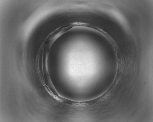 X0000080180862200612081359