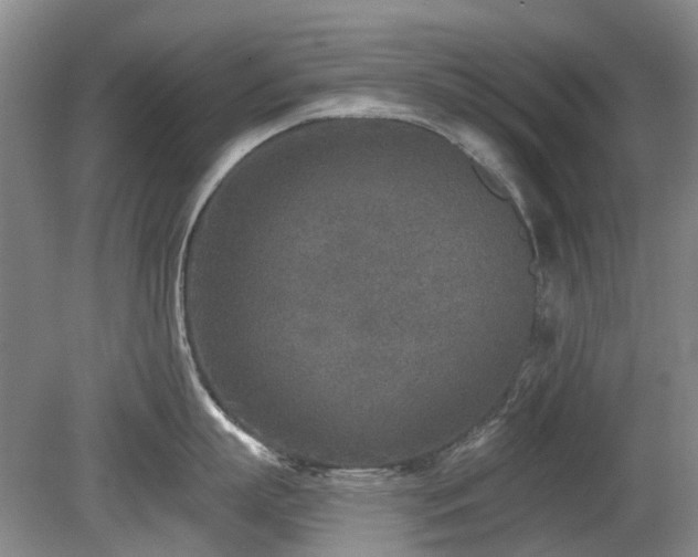 X0000080180863200612081359