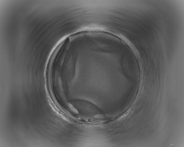 X0000080180864200612081359