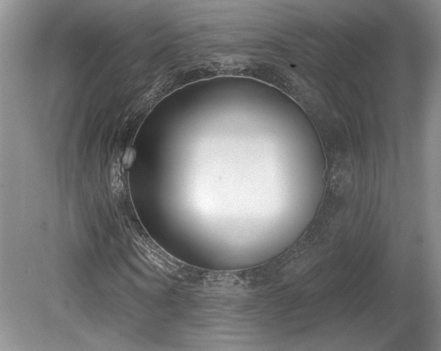 X0000080180866200612081358