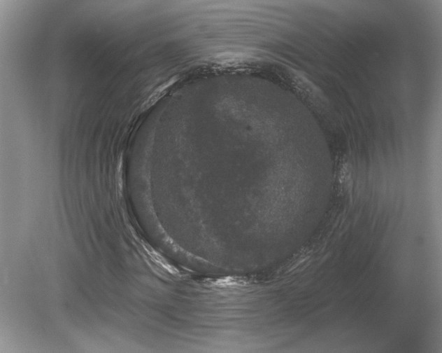 X0000080180868200612081358