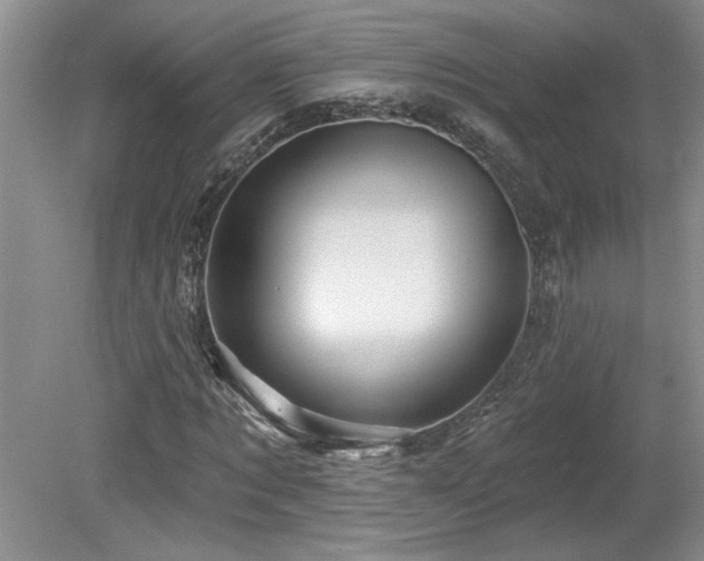 X0000080180869200612081358