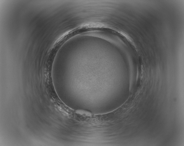 X0000080180872200612081358