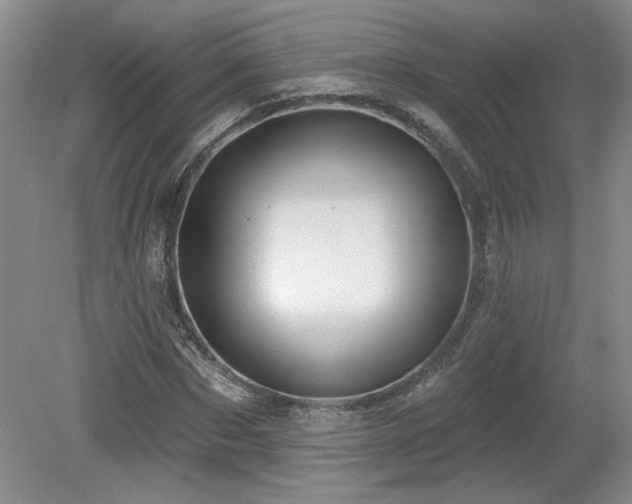 X0000080180873200612081358