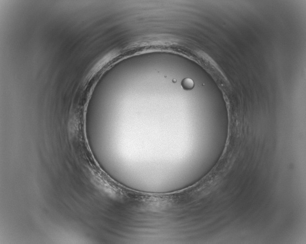 X0000080180874200612081358