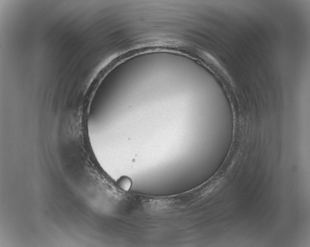 X0000080180875200612081358