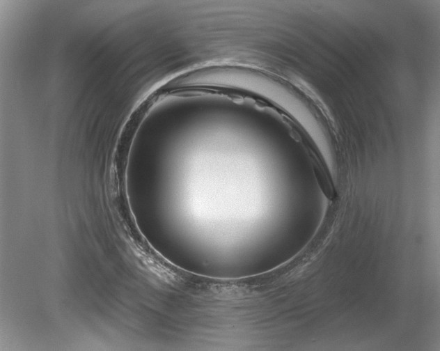 X0000080180876200612081358