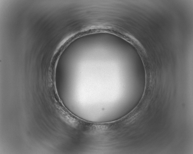 X0000080180878200612081358