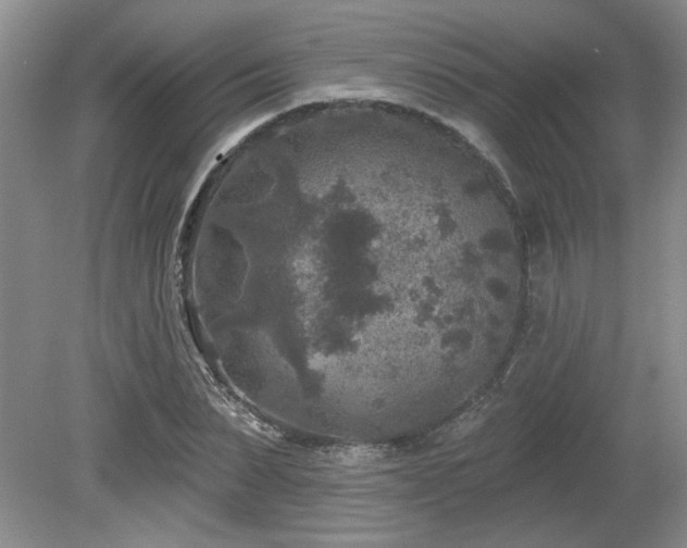 X0000080180879200612081358