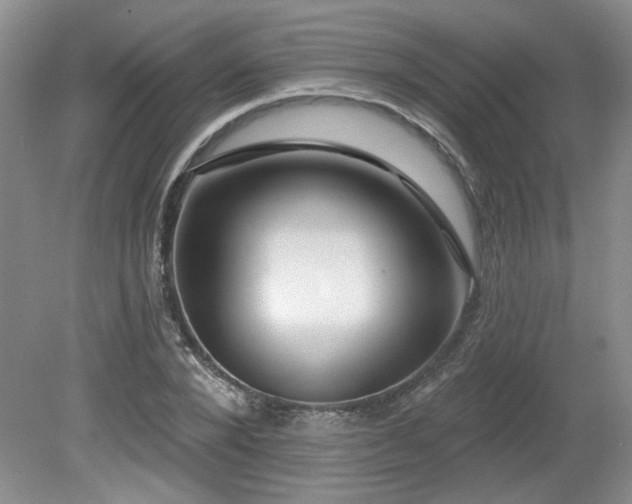 X0000080180880200612081358