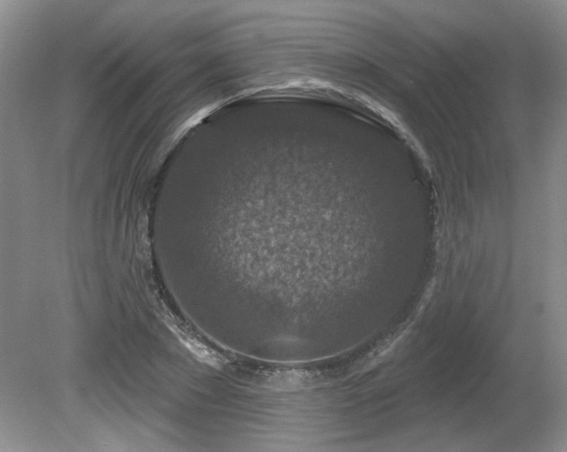 X0000080180881200612081358