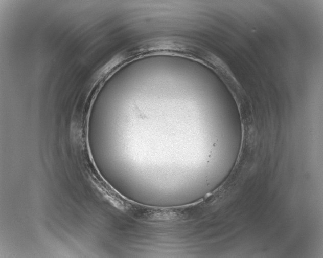 X0000080180882200612081358