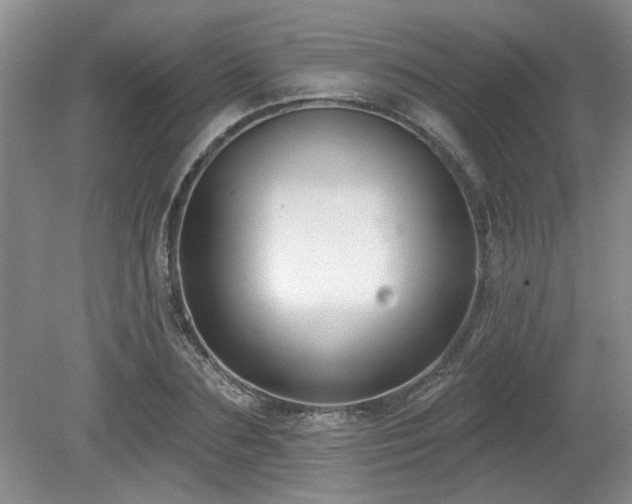 X0000080180883200612081358