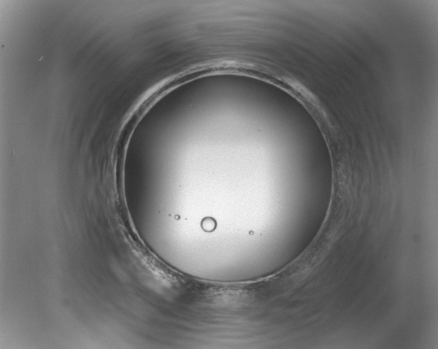 X0000080180886200612081358