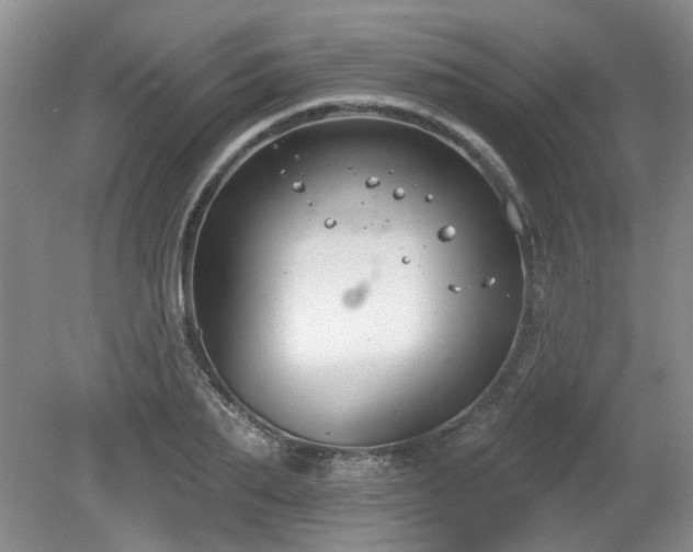 X0000080180887200612081358