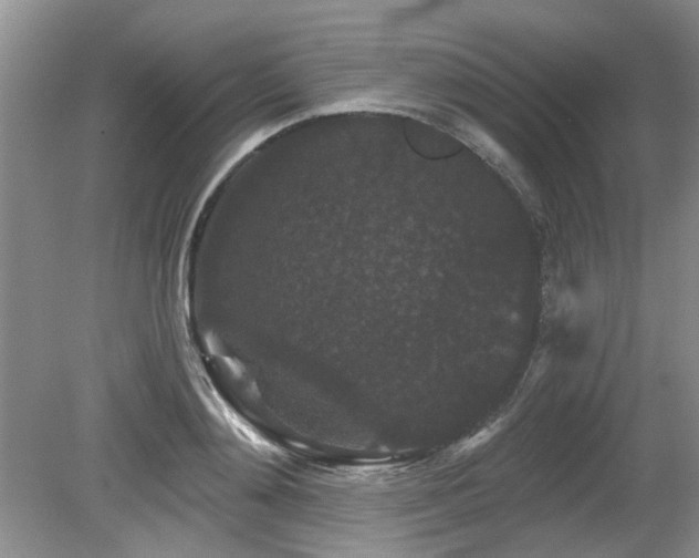 X0000080180892200612081358