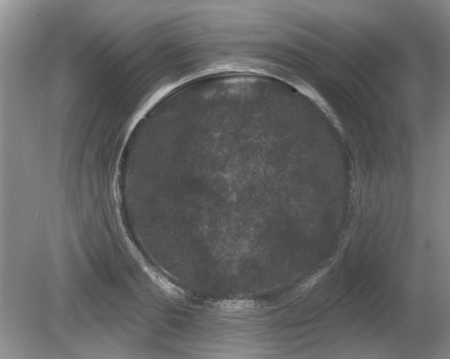 X0000080180893200612081358