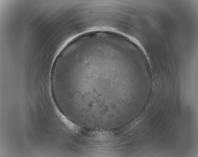 X0000080180895200612081358