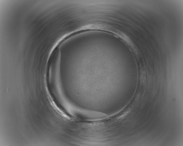 X0000080180896200612081358