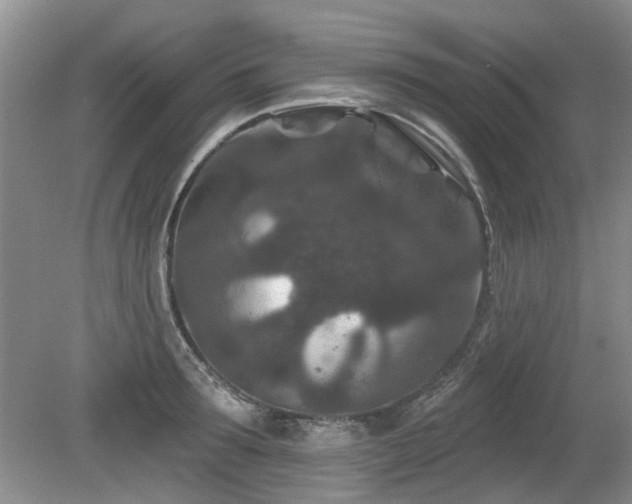 X0000080180899200612081358