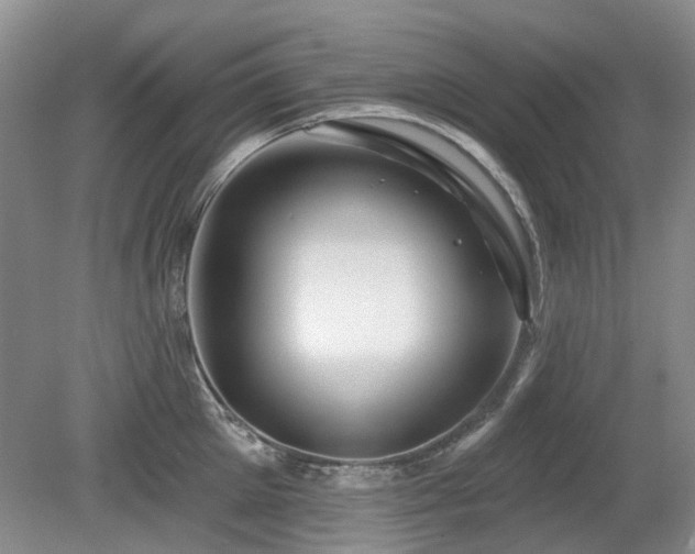 X0000080180905200612081358