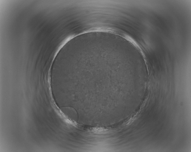 X0000080180907200612081358