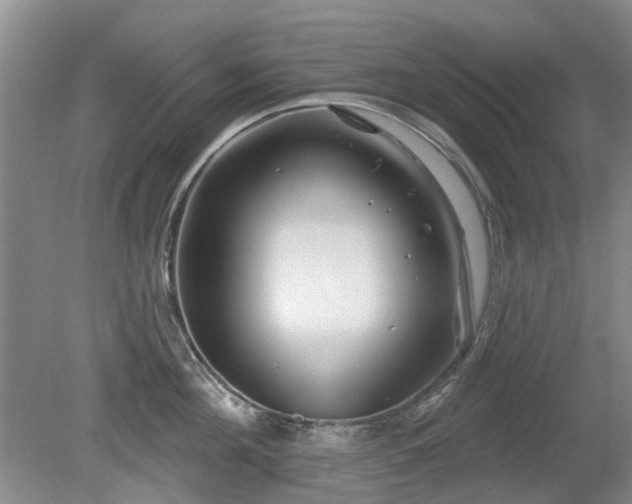 X0000080180908200612081358