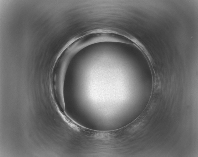 X0000080180909200612081358